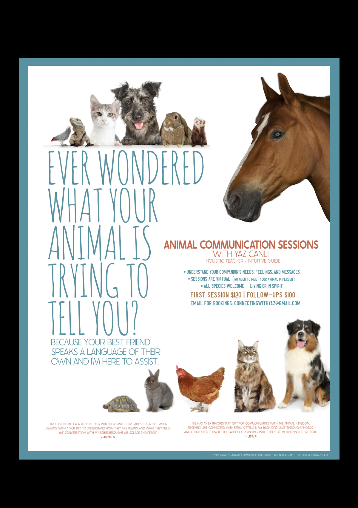 Animal Communication Flyer